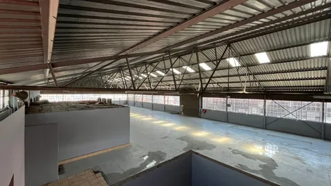 WhatsApp Image 2025-12-02 at 15.00.55 (2).